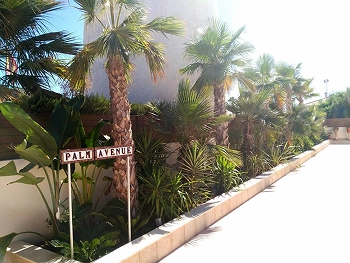 Diseño y paisajismo