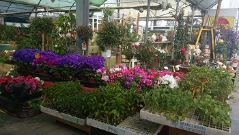 Garden center