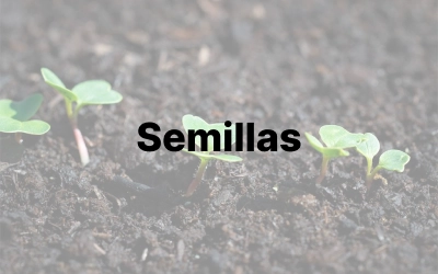 Jardinería torrevieja semillas