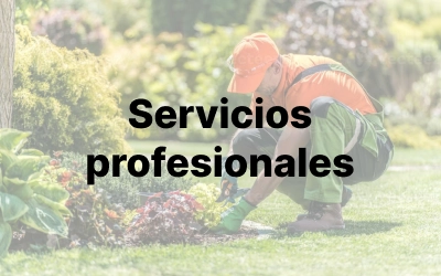 Jardinería torrevieja servicios profesionales